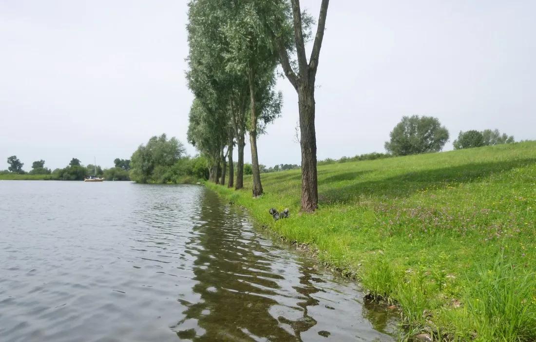 camping-raayerhof-swalmen-zuxp0