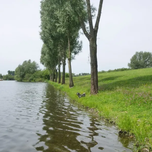 camping-raayerhof-swalmen-zuxp0