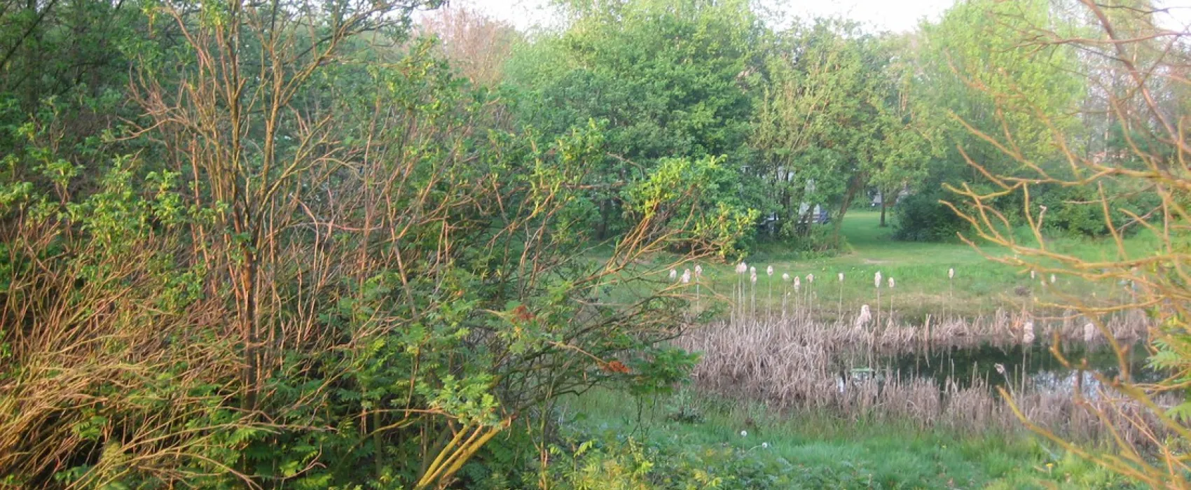 Camping De Coolewee