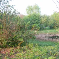 camping-de-coolewee-bathmen-epxlh