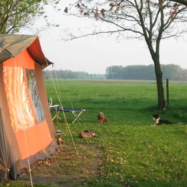camping-de-coolewee-bathmen-ur7sg