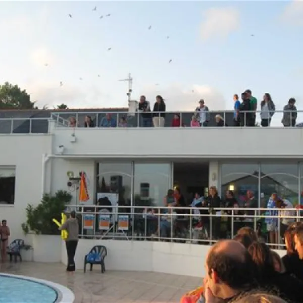 camping-des-iles-pnestin-7wtw6