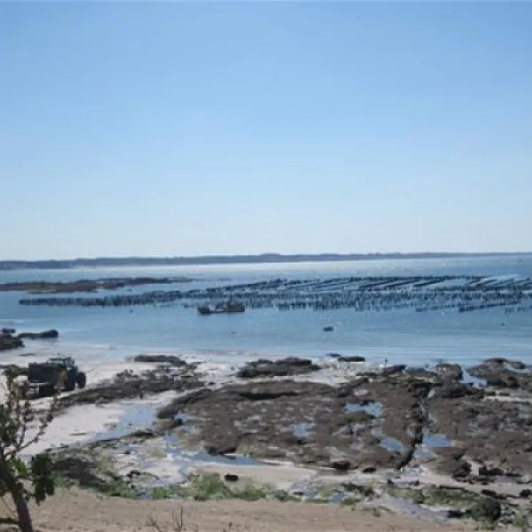 camping-des-iles-pnestin-ivp7j