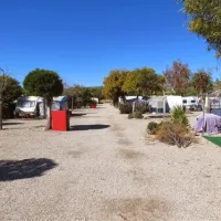 camping-los-gallardos-los-gallardos-3oqy0