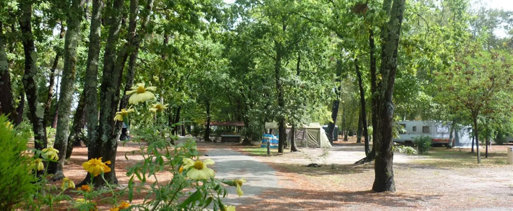 Camping Les Ourmes  