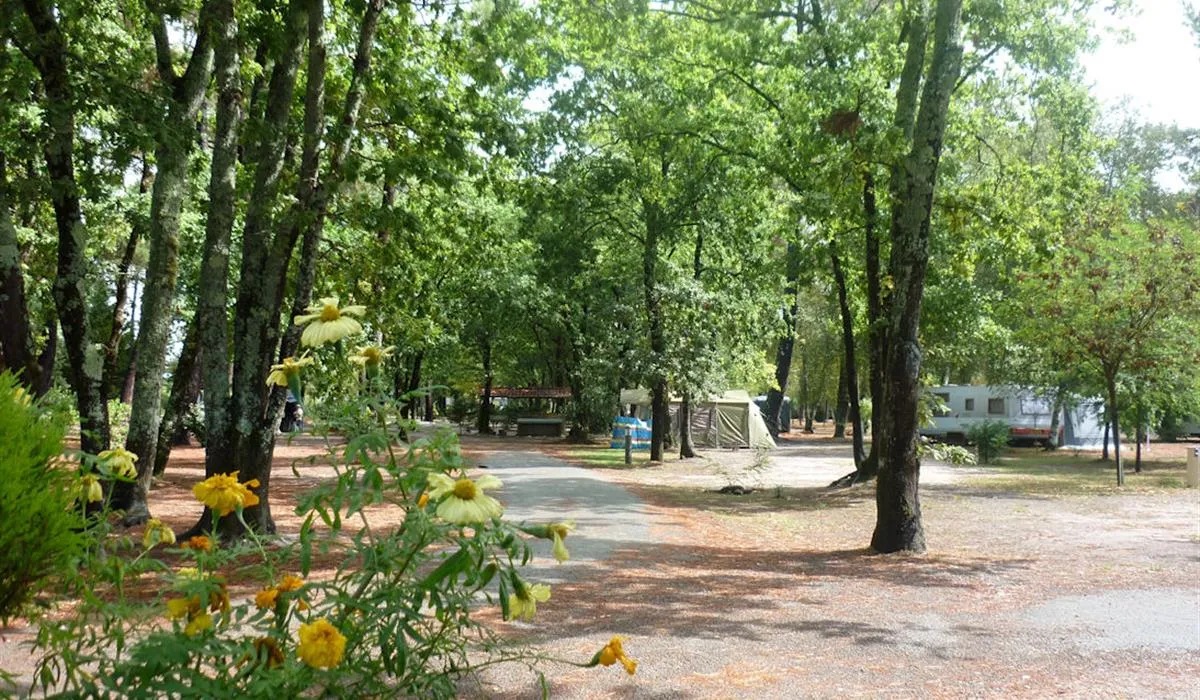 camping-les-ourmes-f-hourtin-lac-7fm0c