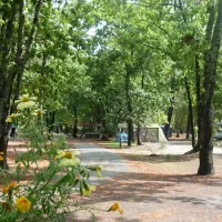 camping-les-ourmes-f-hourtin-lac-7fm0c