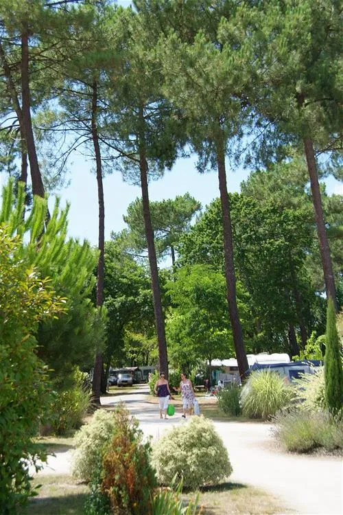 camping-les-ourmes-f-hourtin-lac-uubg7