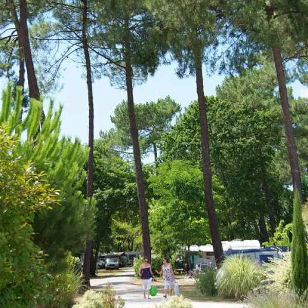 camping-les-ourmes-f-hourtin-lac-uubg7