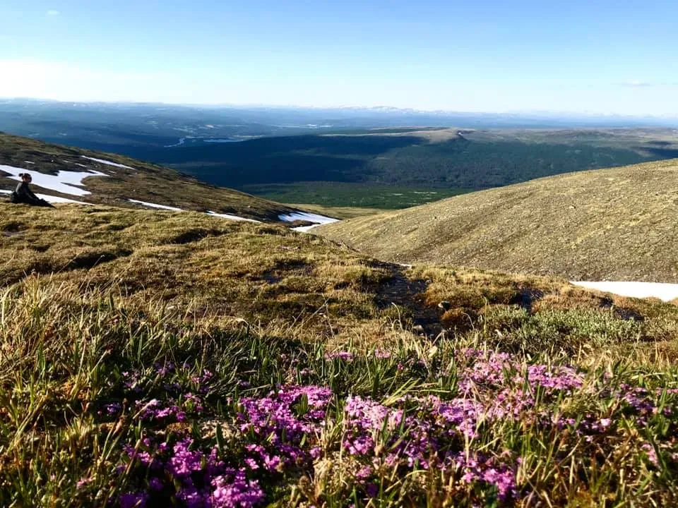 rste-hyttetun-og-camping-os-l7kal