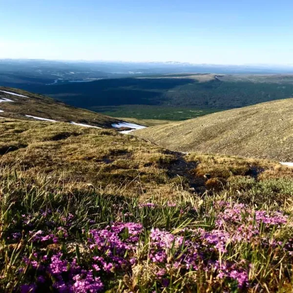 rste-hyttetun-og-camping-os-l7kal