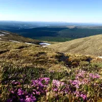 rste-hyttetun-og-camping-os-l7kal