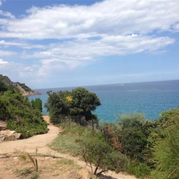 Camping Faoutea