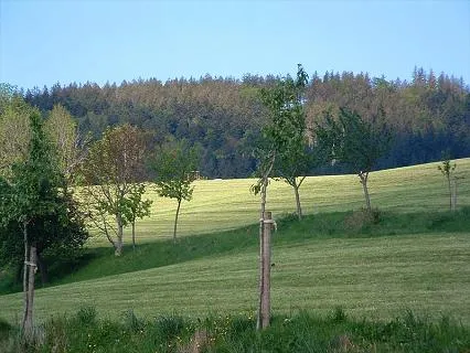 camping-kirnermartes-hof-oberried-wwpab
