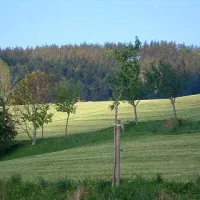 camping-kirnermartes-hof-oberried-wwpab