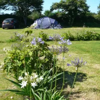 Camping Municipal le Tromeur