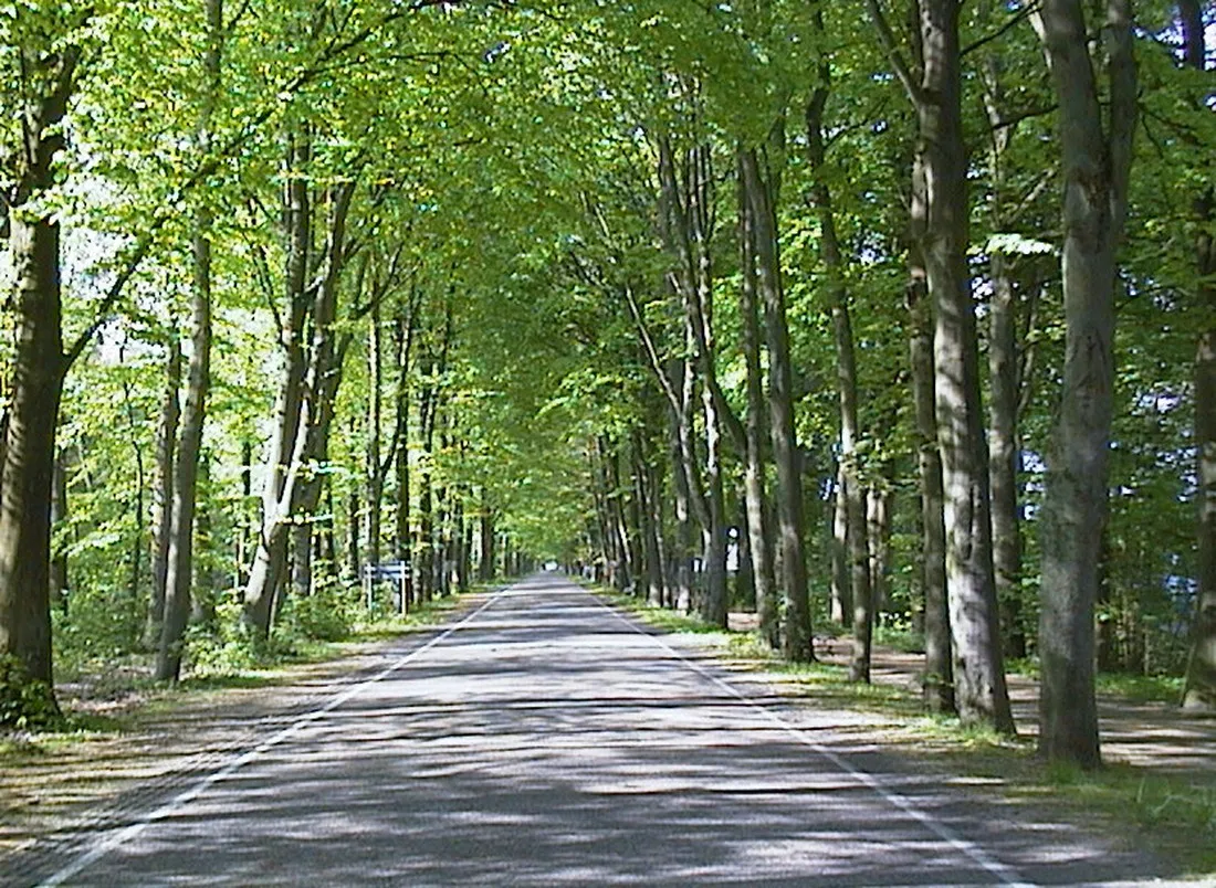 camping-de-wigwam-oudemirdum-ivjcf