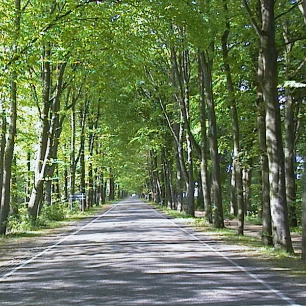camping-de-wigwam-oudemirdum-ivjcf