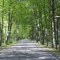 camping-de-wigwam-oudemirdum-ivjcf