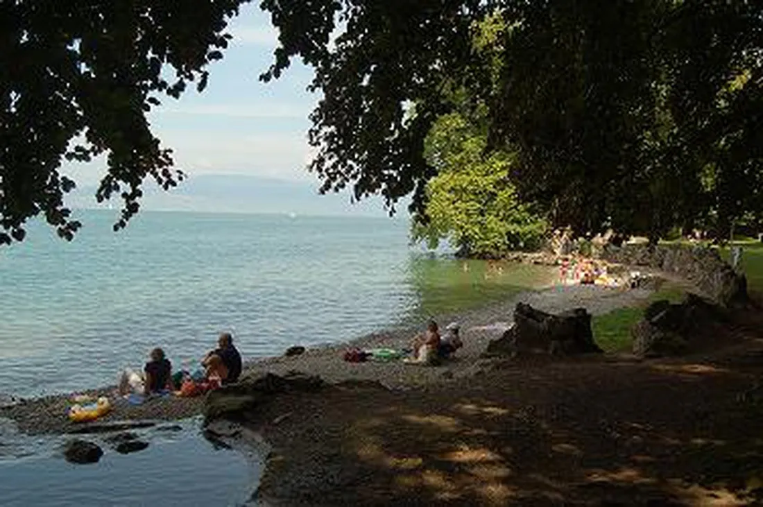 camping-les-myosotis-hautesavoie-f6vmr