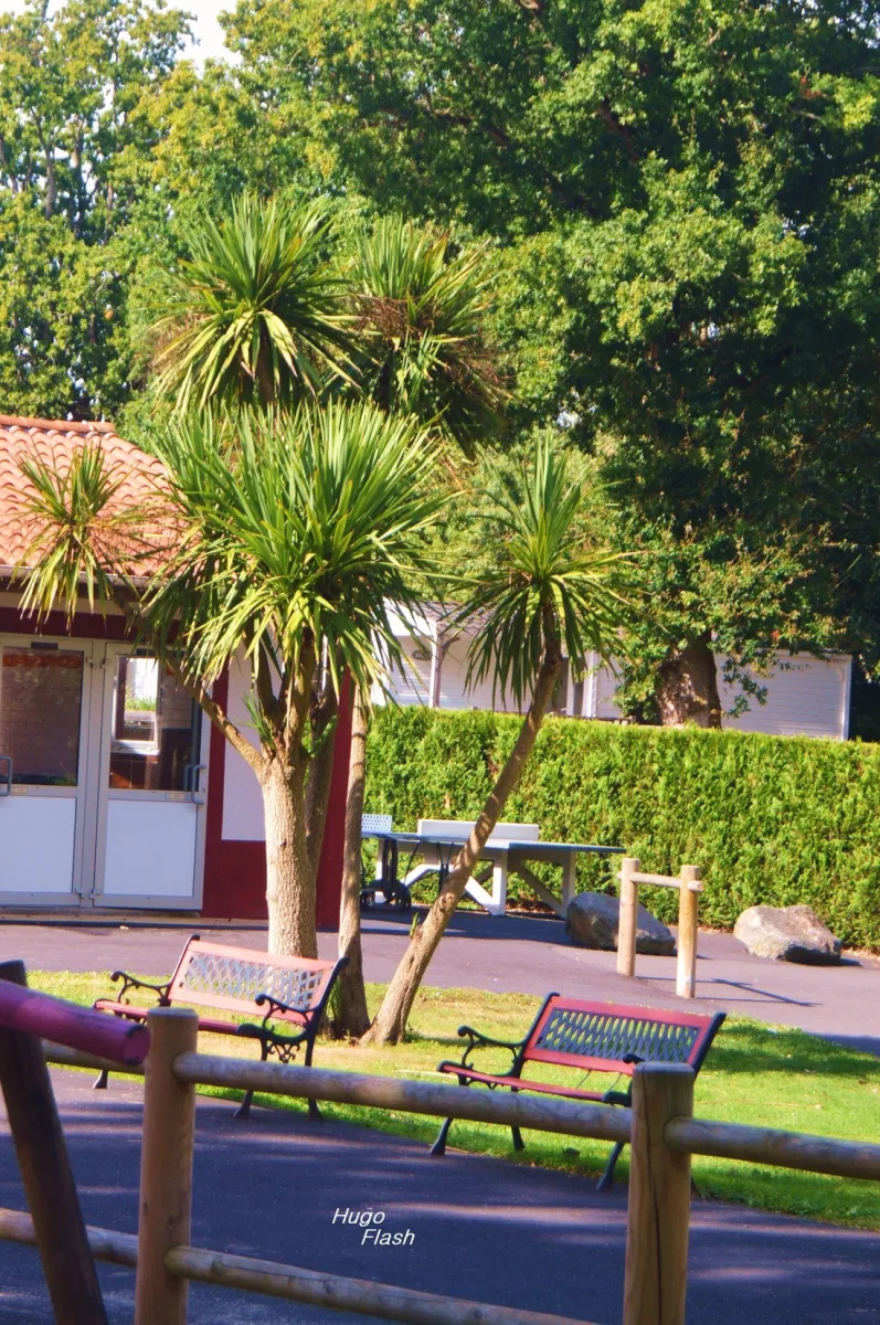 camping-le-pont-rouge-saint-rvrend-wcema