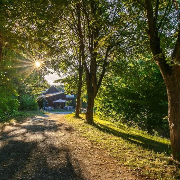 uhlenkoeper-camp-uelzen-uelzen-1zpfw