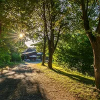 uhlenkoeper-camp-uelzen-uelzen-1zpfw