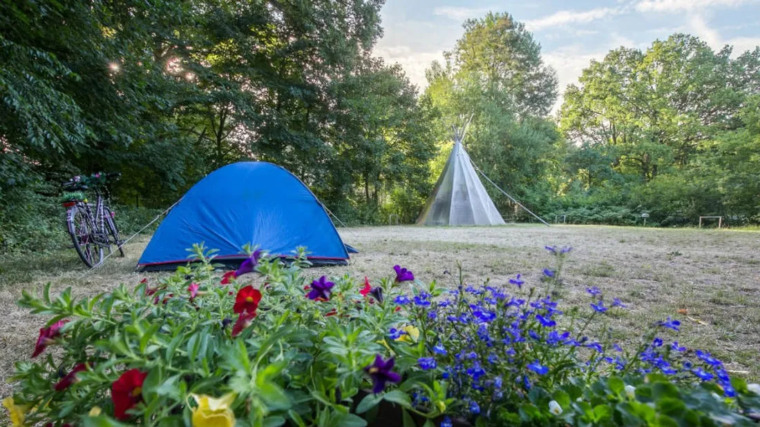 uhlenkoeper-camp-uelzen-uelzen-ewsaw