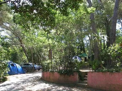 camping-olbia-var-wjwgr