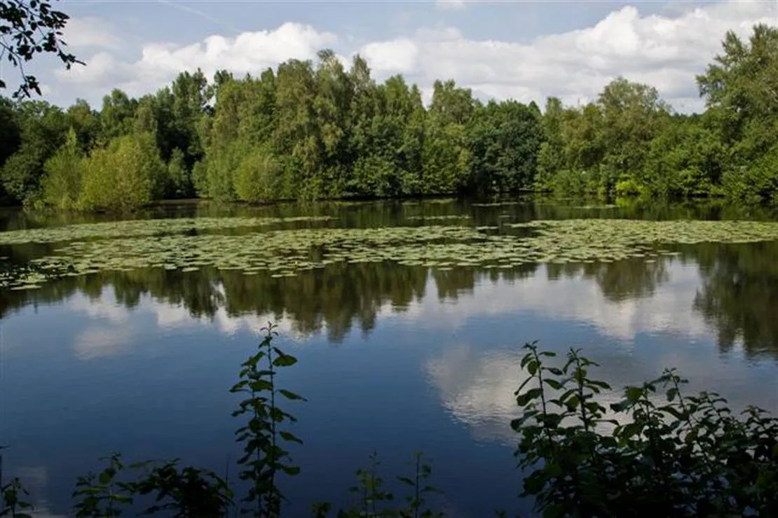 camping-zum-alten-muhlenteich-walsrode-dushorn-bgnb7