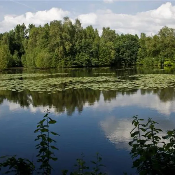 camping-zum-alten-muhlenteich-walsrode-dushorn-bgnb7