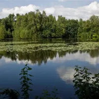 Camping Zum alten Mühlenteich