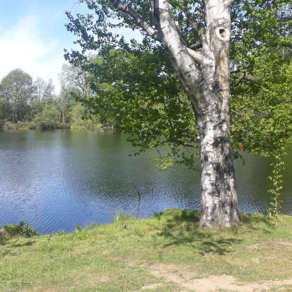 camping-zum-alten-muhlenteich-walsrode-dushorn-byjjc