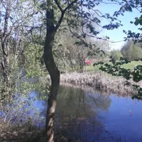 camping-zum-alten-muhlenteich-walsrode-dushorn-eehei