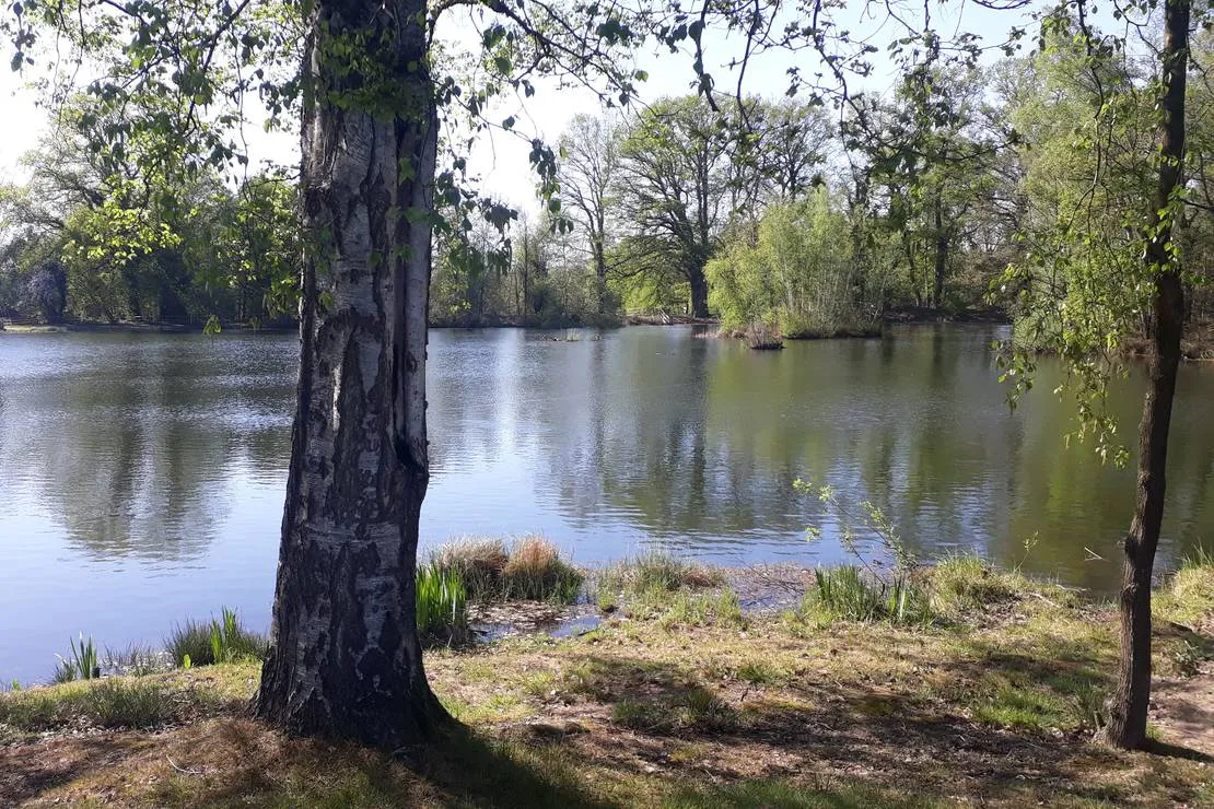 camping-zum-alten-muhlenteich-walsrode-dushorn-j4fac