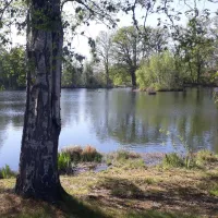 camping-zum-alten-muhlenteich-walsrode-dushorn-j4fac