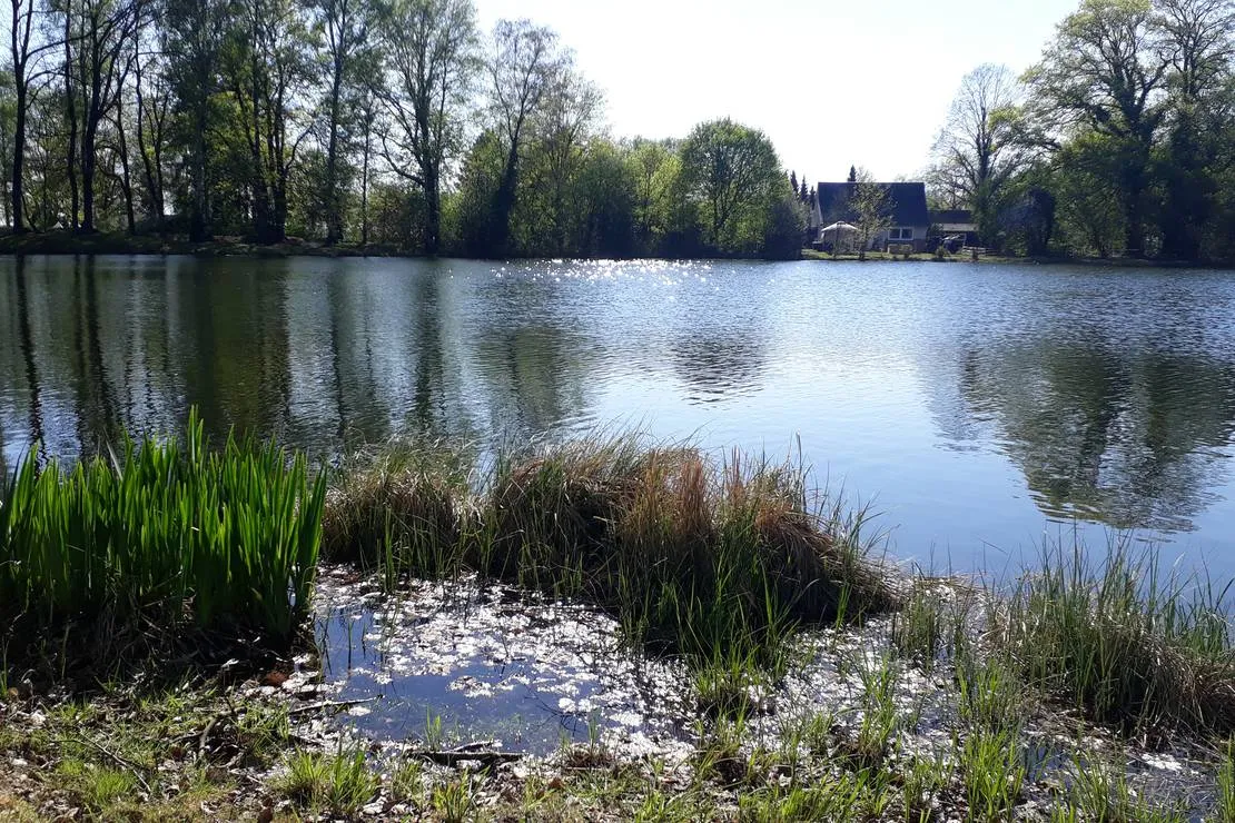 camping-zum-alten-muhlenteich-walsrode-dushorn-joyc4