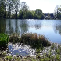 camping-zum-alten-muhlenteich-walsrode-dushorn-joyc4