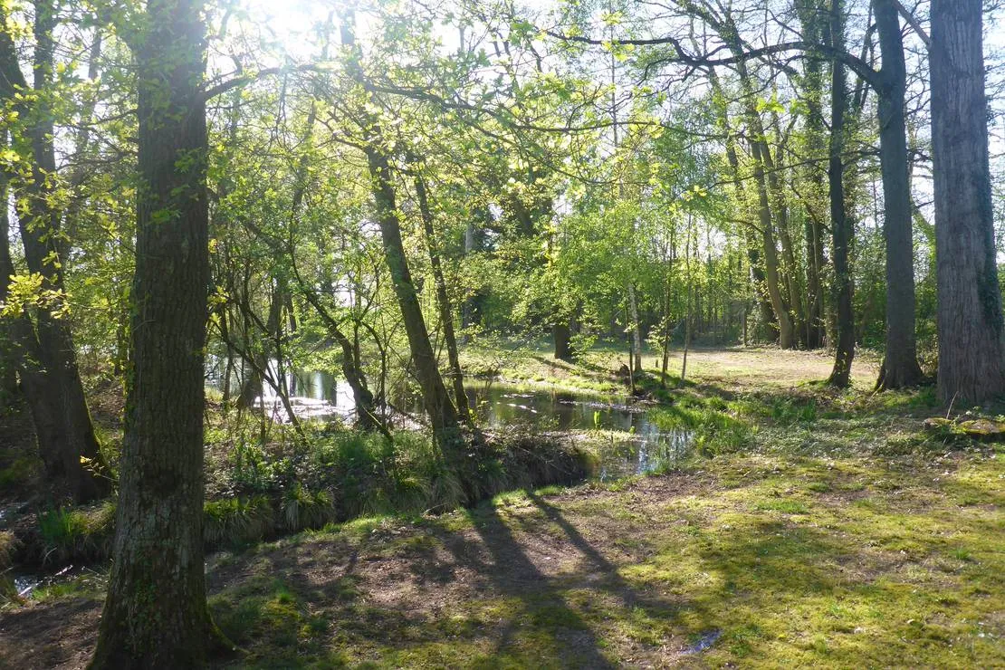camping-zum-alten-muhlenteich-walsrode-dushorn-rrs21