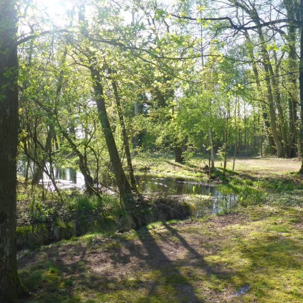 camping-zum-alten-muhlenteich-walsrode-dushorn-rrs21