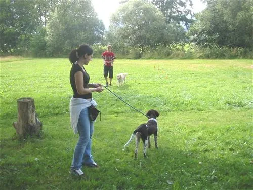 camping-einberg-furth-im-wald-vxipf