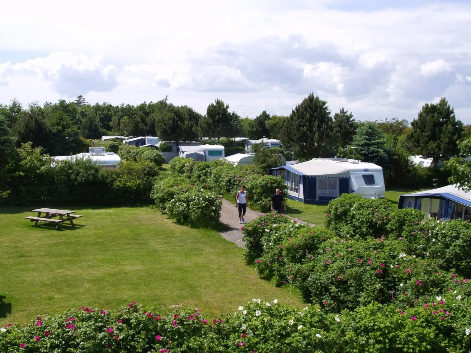 rdvig-camping-rdvig-qv1bt