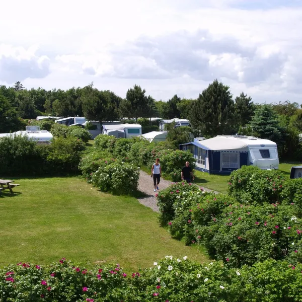 Rødvig Camping Stevns