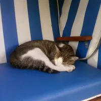 minicamping-kleingarn-fehmarn-alv0c