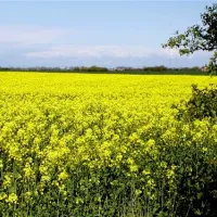minicamping-kleingarn-fehmarn-h8a2j