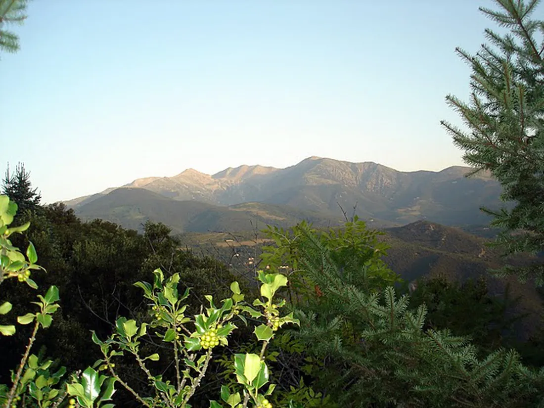 camping-naturistes-le-ventous-arles-sur-tech-14fjk