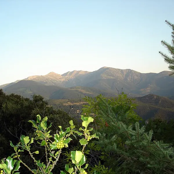 camping-naturistes-le-ventous-arles-sur-tech-14fjk