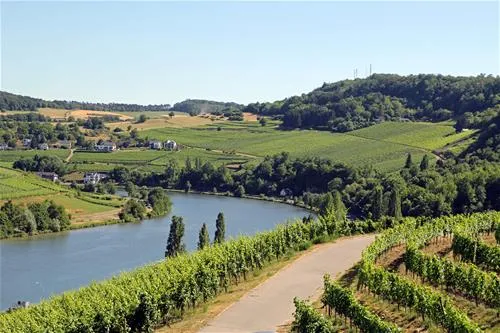 camping-route-du-vin-grevenmacher-duxwk
