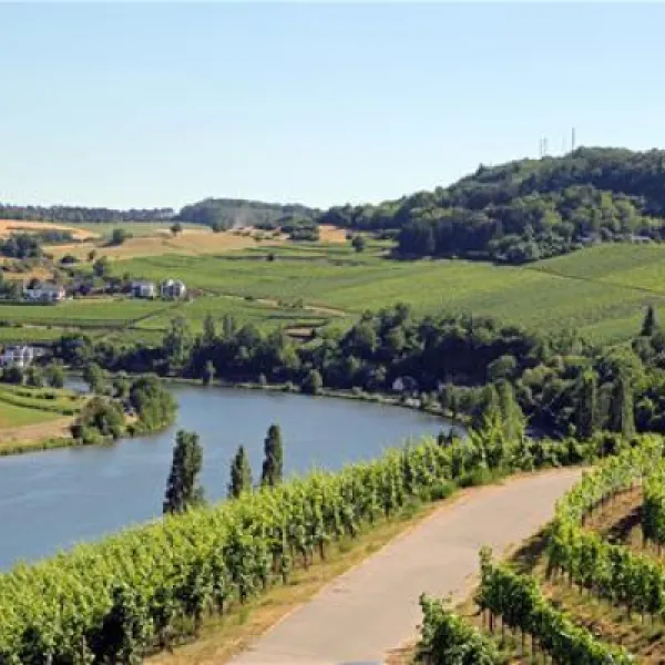 camping-route-du-vin-grevenmacher-duxwk