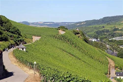 camping-route-du-vin-grevenmacher-vtt7q